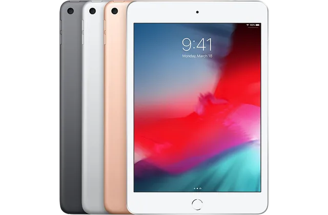 Back color options and front view of iPad mini (5) (2019) for model identification