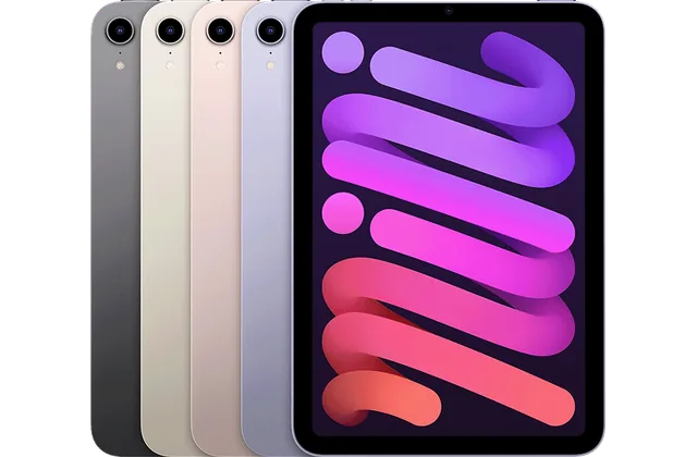 Back color options and front view of iPad mini (6) (2021) for model identification